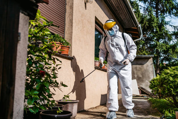 Best Flea Control Services  in Flower Mound, TX