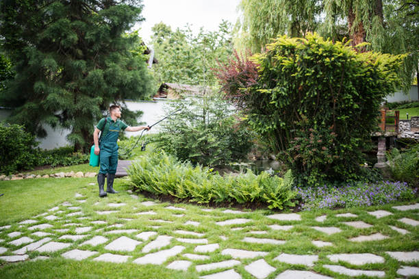 Best Pest Control Near Me  in Flower Mound, TX